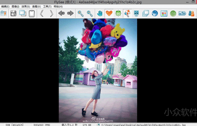 FlySee - 除了颜值，都不错的标准看图工具[Windows] 15